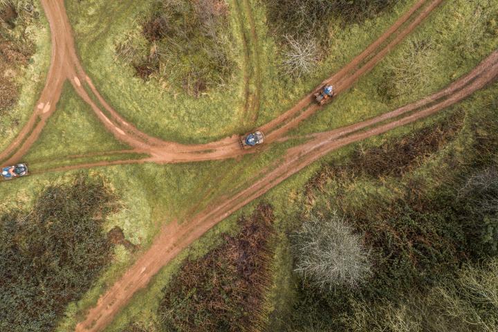 a close up of a tree